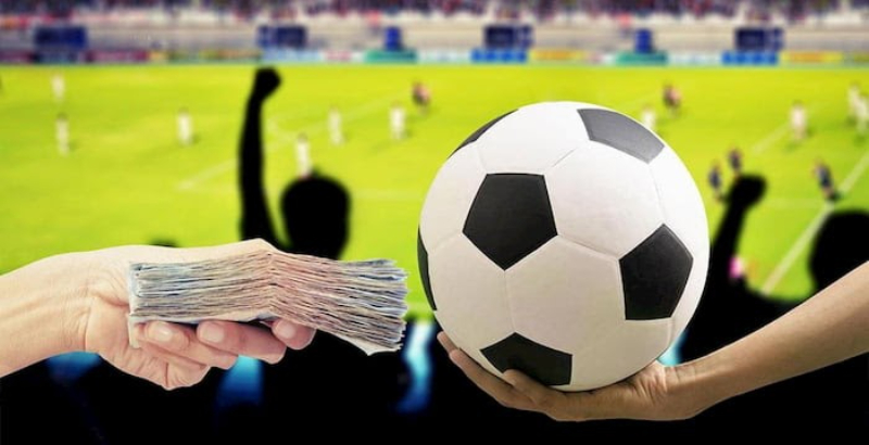 Đọc kèo thật chính xác để đưa ra sự lựa chọn sáng suốt